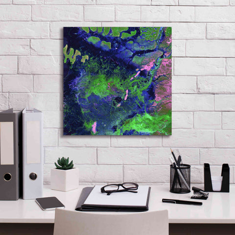 Image of 'Earth as Art: Wondrous Wetlands,' Canvas Wall Art,18 x 18
