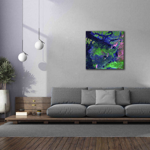 Image of 'Earth as Art: Wondrous Wetlands,' Canvas Wall Art,37 x 37