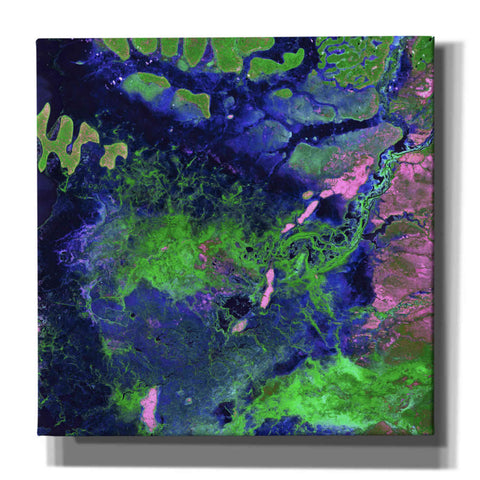 Image of 'Earth as Art: Wondrous Wetlands,' Canvas Wall Art,12x12x1.1x0,18x18x1.1x0,26x26x1.74x0,37x37x1.74x0