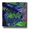'Earth as Art: Wondrous Wetlands,' Canvas Wall Art,12x12x1.1x0,18x18x1.1x0,26x26x1.74x0,37x37x1.74x0