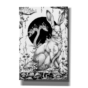 'Hare 2' by Avery Multer, Canvas Wall Art