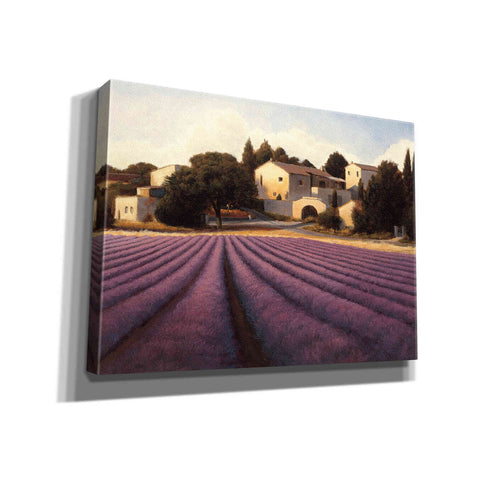 Image of Epic Art 'Lavender Fields I' by James Wiens, Canvas Wall Art,16x12x1.1x0,24x20x1.1x0,30x26x1.74x0,54x40x1.74x0