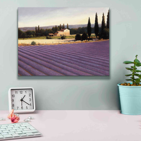 Image of Epic Art 'Lavender Fields II' by James Wiens, Canvas Wall Art,16 x 12