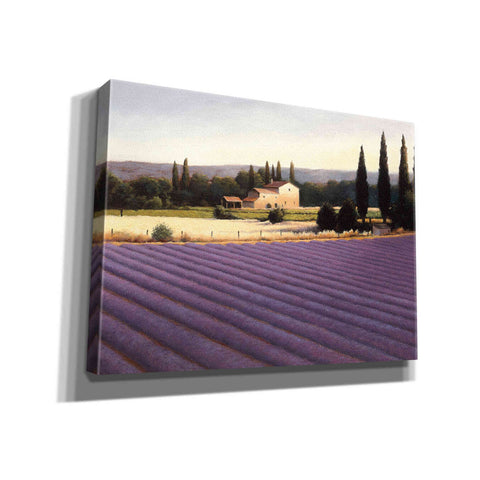 Image of Epic Art 'Lavender Fields II' by James Wiens, Canvas Wall Art,16x12x1.1x0,24x20x1.1x0,30x26x1.74x0,54x40x1.74x0