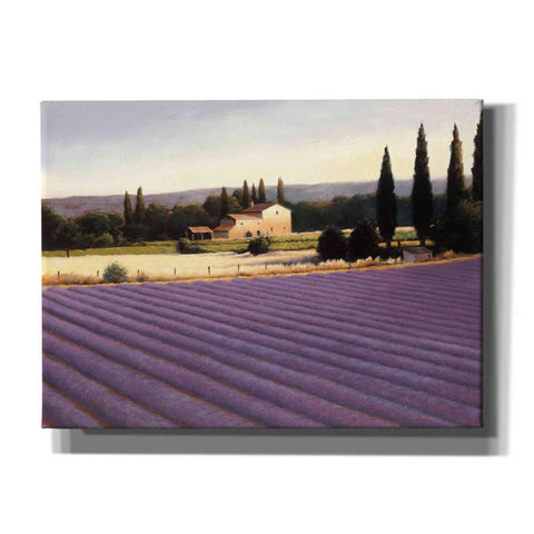 Image of Epic Art 'Lavender Fields II' by James Wiens, Canvas Wall Art,16x12x1.1x0,24x20x1.1x0,30x26x1.74x0,54x40x1.74x0