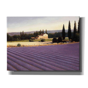 Epic Art 'Lavender Fields II' by James Wiens, Canvas Wall Art,16x12x1.1x0,24x20x1.1x0,30x26x1.74x0,54x40x1.74x0