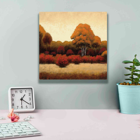 Image of Epic Art 'Autumn Forest I' by James Wiens, Canvas Wall Art,12 x 12