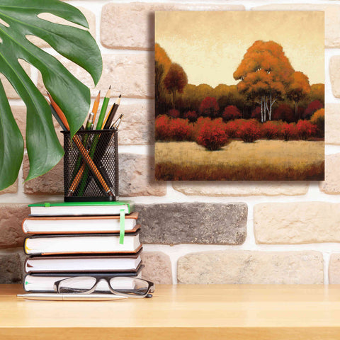 Image of Epic Art 'Autumn Forest I' by James Wiens, Canvas Wall Art,12 x 12