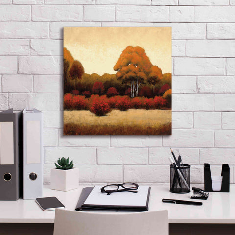 Image of Epic Art 'Autumn Forest I' by James Wiens, Canvas Wall Art,18 x 18