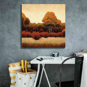 Epic Art 'Autumn Forest I' by James Wiens, Canvas Wall Art,26 x 26