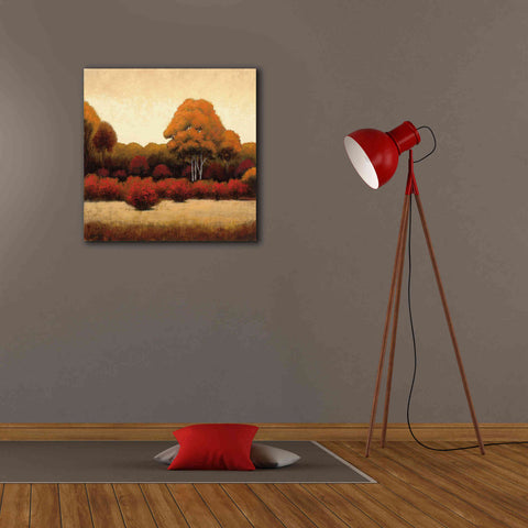 Image of Epic Art 'Autumn Forest I' by James Wiens, Canvas Wall Art,26 x 26