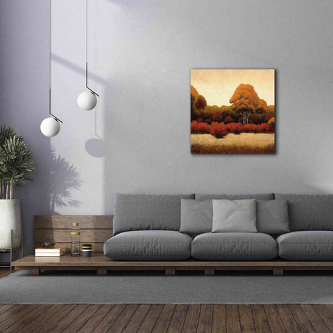Image of Epic Art 'Autumn Forest I' by James Wiens, Canvas Wall Art,37 x 37