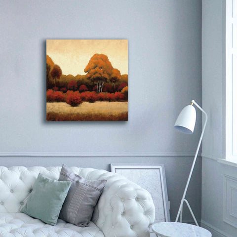 Image of Epic Art 'Autumn Forest I' by James Wiens, Canvas Wall Art,37 x 37