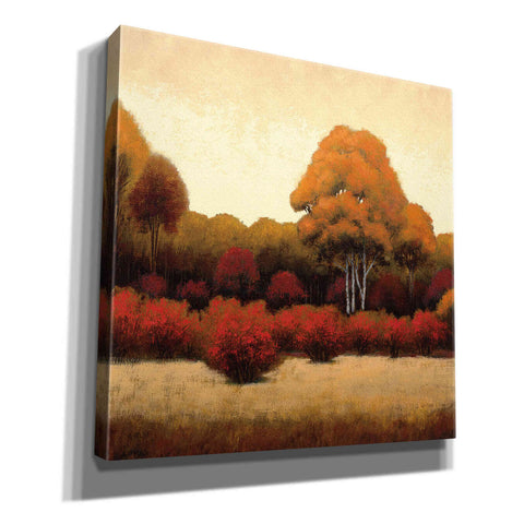 Image of Epic Art 'Autumn Forest I' by James Wiens, Canvas Wall Art,12x12x1.1x0,18x18x1.1x0,26x26x1.74x0,37x37x1.74x0