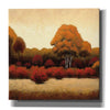 Epic Art 'Autumn Forest I' by James Wiens, Canvas Wall Art,12x12x1.1x0,18x18x1.1x0,26x26x1.74x0,37x37x1.74x0