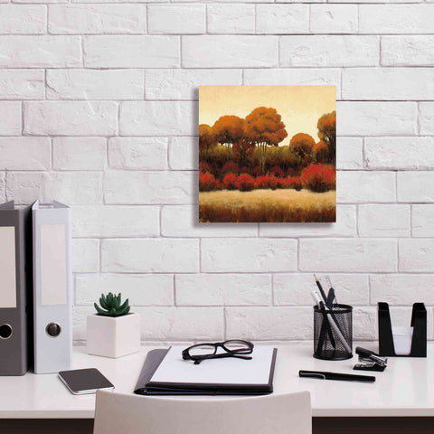 Image of Epic Art 'Autumn Forest II' by James Wiens, Canvas Wall Art,12 x 12