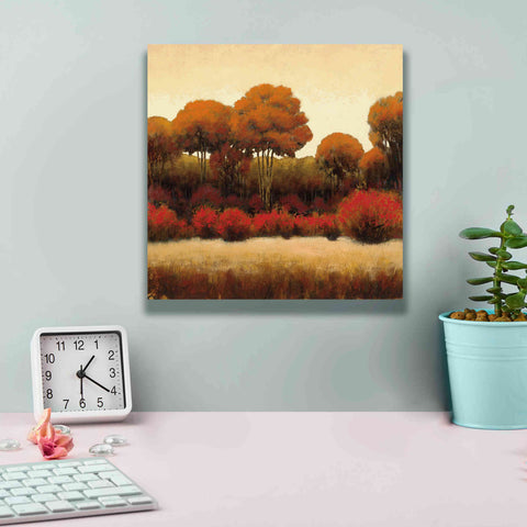 Image of Epic Art 'Autumn Forest II' by James Wiens, Canvas Wall Art,12 x 12