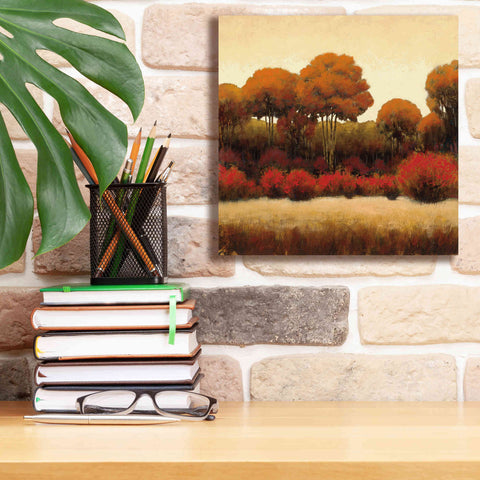 Image of Epic Art 'Autumn Forest II' by James Wiens, Canvas Wall Art,12 x 12