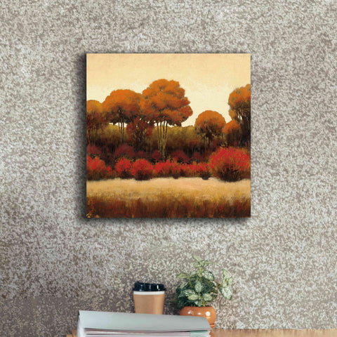 Image of Epic Art 'Autumn Forest II' by James Wiens, Canvas Wall Art,18 x 18