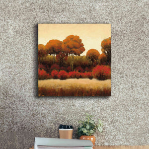 Epic Art 'Autumn Forest II' by James Wiens, Canvas Wall Art,18 x 18