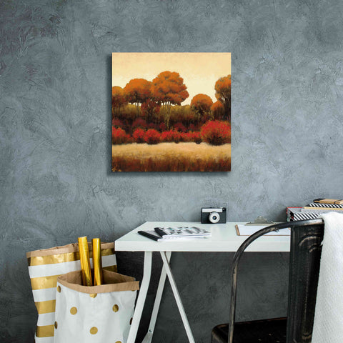 Image of Epic Art 'Autumn Forest II' by James Wiens, Canvas Wall Art,18 x 18