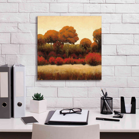 Image of Epic Art 'Autumn Forest II' by James Wiens, Canvas Wall Art,18 x 18