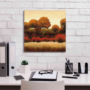 Epic Art 'Autumn Forest II' by James Wiens, Canvas Wall Art,18 x 18