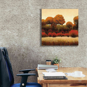 Epic Art 'Autumn Forest II' by James Wiens, Canvas Wall Art,26 x 26