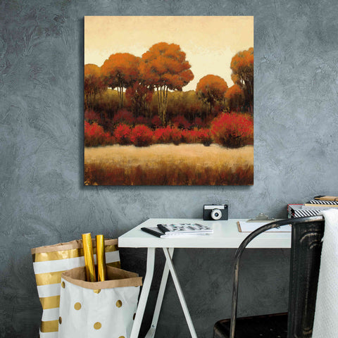 Image of Epic Art 'Autumn Forest II' by James Wiens, Canvas Wall Art,26 x 26