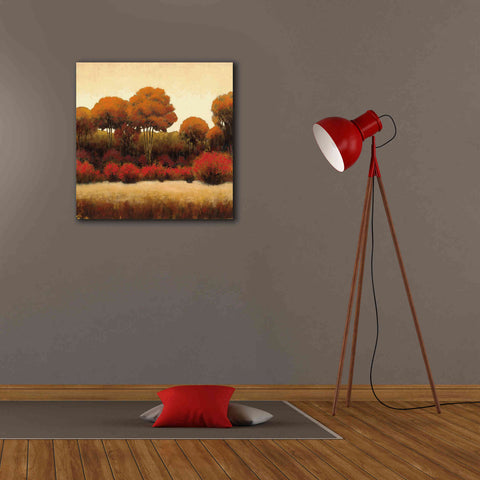 Image of Epic Art 'Autumn Forest II' by James Wiens, Canvas Wall Art,26 x 26