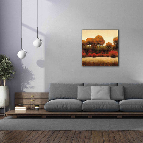 Image of Epic Art 'Autumn Forest II' by James Wiens, Canvas Wall Art,37 x 37