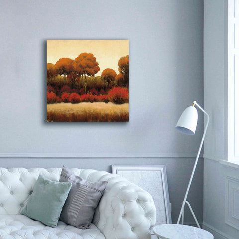Image of Epic Art 'Autumn Forest II' by James Wiens, Canvas Wall Art,37 x 37