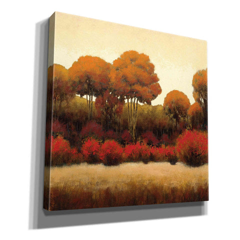 Image of Epic Art 'Autumn Forest II' by James Wiens, Canvas Wall Art,12x12x1.1x0,18x18x1.1x0,26x26x1.74x0,37x37x1.74x0