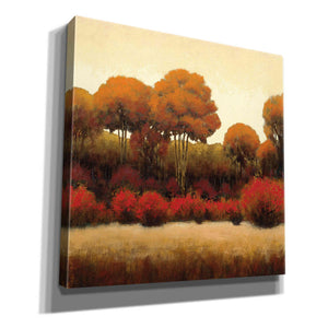 Epic Art 'Autumn Forest II' by James Wiens, Canvas Wall Art,12x12x1.1x0,18x18x1.1x0,26x26x1.74x0,37x37x1.74x0