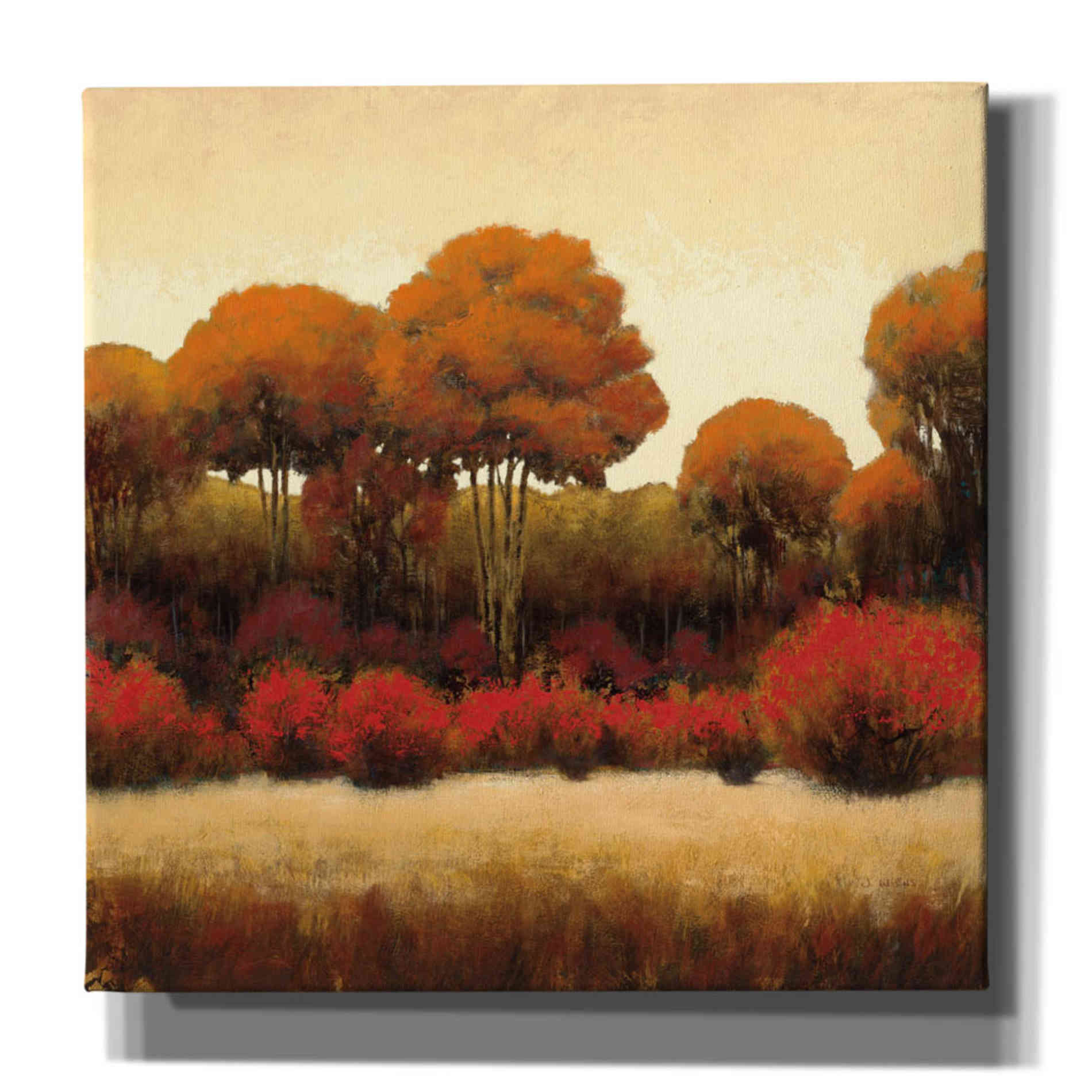 Epic Art 'Autumn Forest II' by James Wiens, Canvas Wall Art,12x12x1.1x0,18x18x1.1x0,26x26x1.74x0,37x37x1.74x0