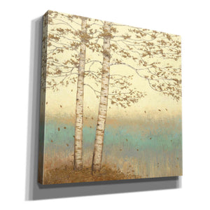 Epic Art 'Golden Birch I' by James Wiens, Canvas Wall Art,12x12x1.1x0,18x18x1.1x0,26x26x1.74x0,37x37x1.74x0
