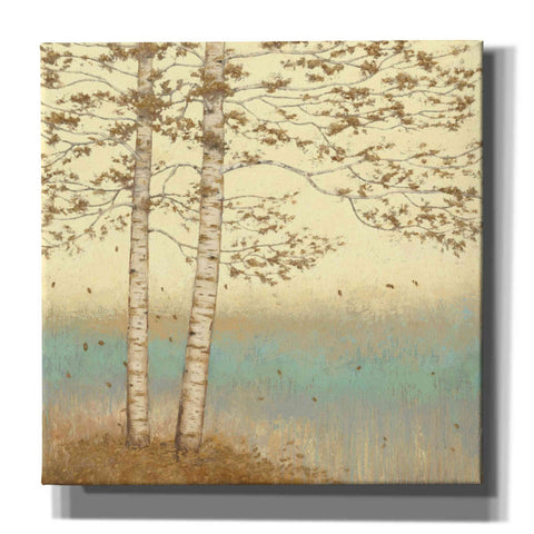 Image of Epic Art 'Golden Birch I' by James Wiens, Canvas Wall Art,12x12x1.1x0,18x18x1.1x0,26x26x1.74x0,37x37x1.74x0