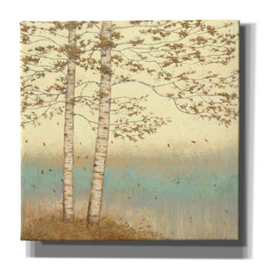 Epic Art 'Golden Birch I' by James Wiens, Canvas Wall Art,12x12x1.1x0,18x18x1.1x0,26x26x1.74x0,37x37x1.74x0