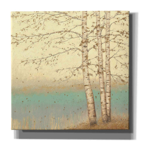 Image of Epic Art 'Golden Birch II' by James Wiens, Canvas Wall Art,12x12x1.1x0,18x18x1.1x0,26x26x1.74x0,37x37x1.74x0