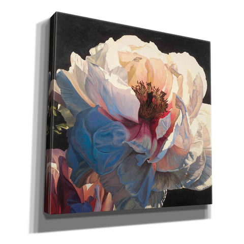 Image of Epic Art 'Morning Glow I' by James Wiens, Canvas Wall Art,12x12x1.1x0,18x18x1.1x0,26x26x1.74x0,37x37x1.74x0
