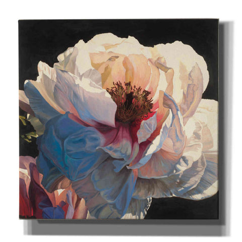 Image of Epic Art 'Morning Glow I' by James Wiens, Canvas Wall Art,12x12x1.1x0,18x18x1.1x0,26x26x1.74x0,37x37x1.74x0