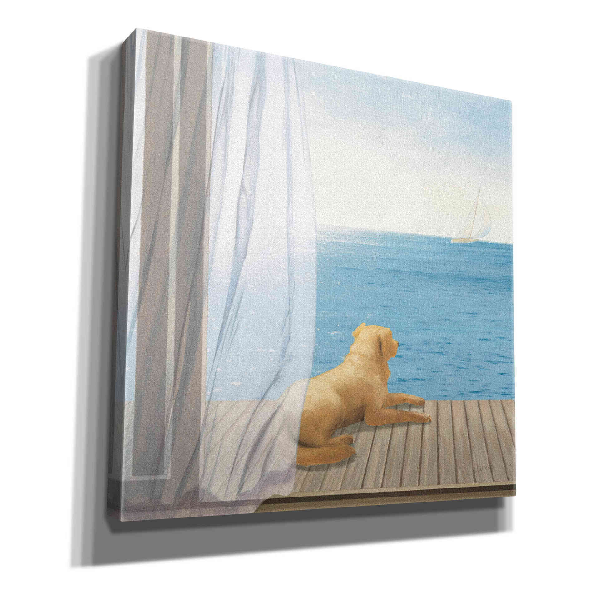 Epic Art 'Blue Breeze II' by James Wiens, Canvas Wall Art,12x12x1.1x0,18x18x1.1x0,26x26x1.74x0,37x37x1.74x0