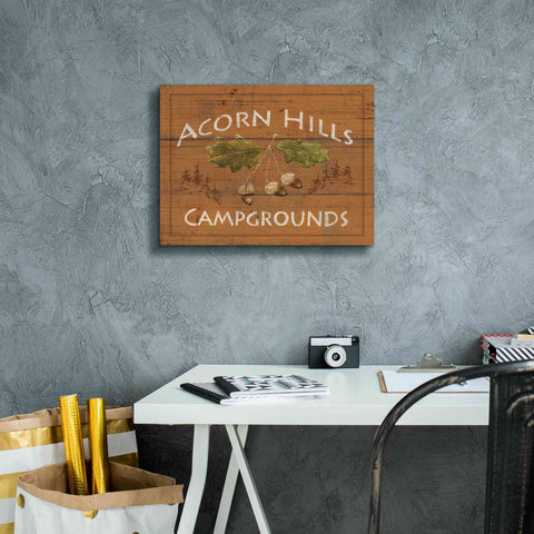 Image of Epic Art 'Lodge Signs I' by James Wiens, Canvas Wall Art,16 x 12