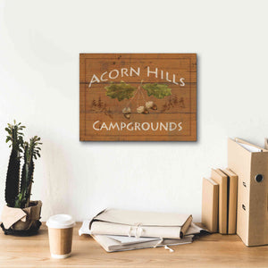 Epic Art 'Lodge Signs I' by James Wiens, Canvas Wall Art,16 x 12