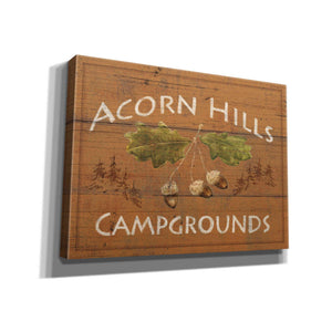 Epic Art 'Lodge Signs I' by James Wiens, Canvas Wall Art,16x12x1.1x0,24x20x1.1x0,30x26x1.74x0,54x40x1.74x0