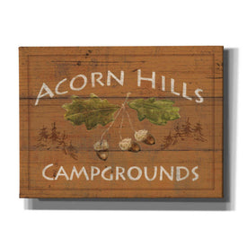 Epic Art 'Lodge Signs I' by James Wiens, Canvas Wall Art,16x12x1.1x0,24x20x1.1x0,30x26x1.74x0,54x40x1.74x0