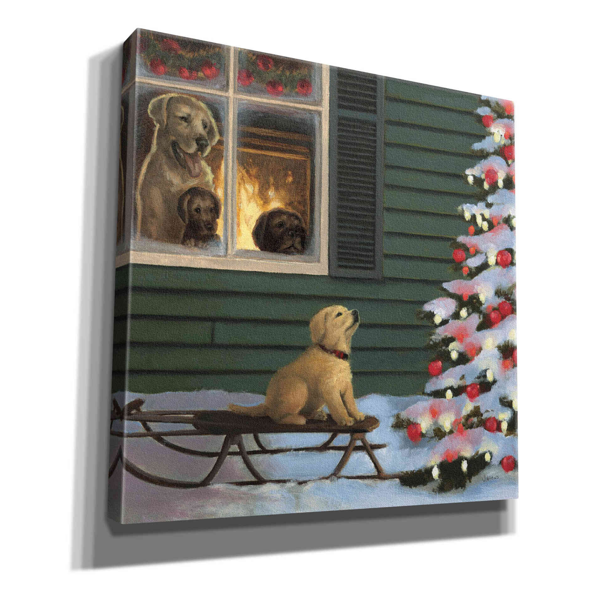 Epic Art 'Make a Wish' by James Wiens, Canvas Wall Art,12x12x1.1x0,18x18x1.1x0,26x26x1.74x0,37x37x1.74x0