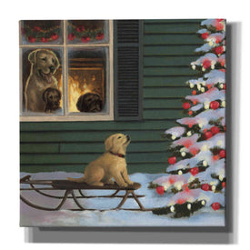 Epic Art 'Make a Wish' by James Wiens, Canvas Wall Art,12x12x1.1x0,18x18x1.1x0,26x26x1.74x0,37x37x1.74x0