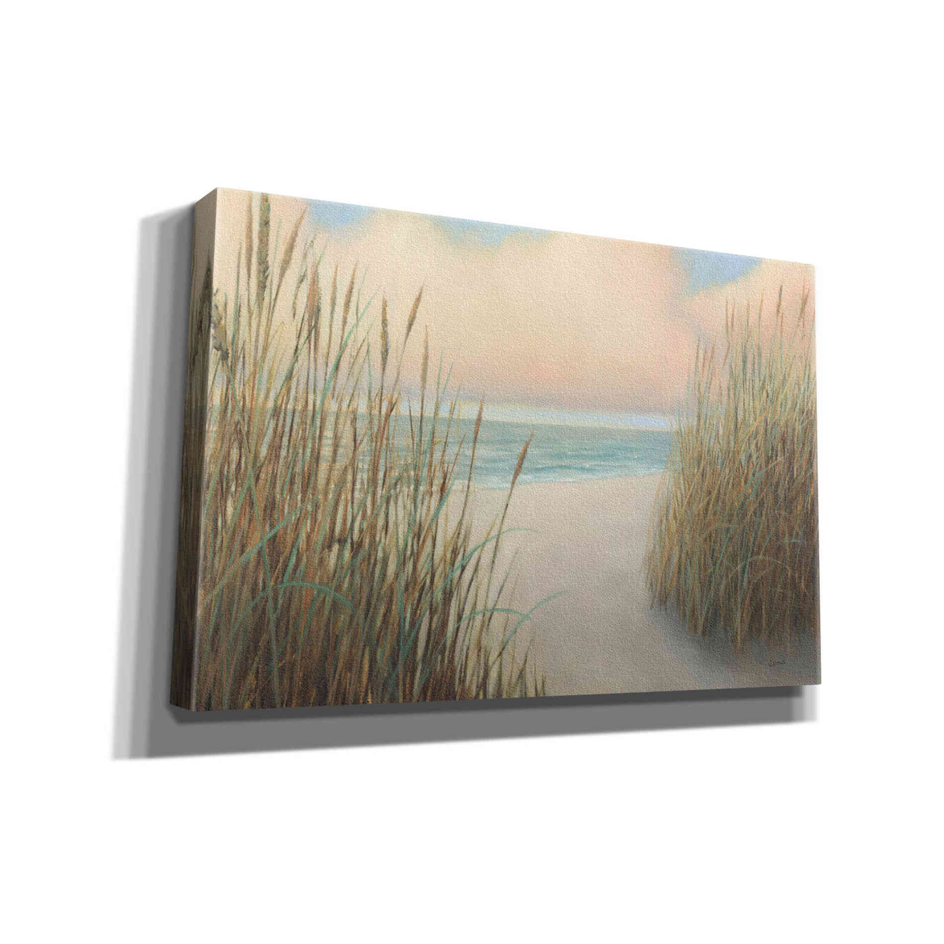 Epic Art 'Beach Trail I' by James Wiens, Canvas Wall Art,18x12x1.1x0,26x18x1.1x0,40x26x1.74x0,60x40x1.74x0