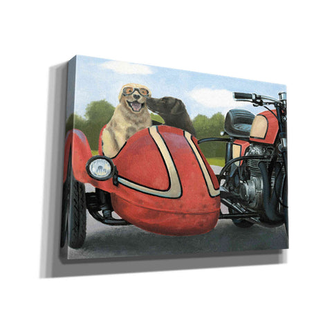 Image of Epic Art 'Born to Be Wild Crop' by James Wiens, Canvas Wall Art,16x12x1.1x0,24x20x1.1x0,30x26x1.74x0,54x40x1.74x0